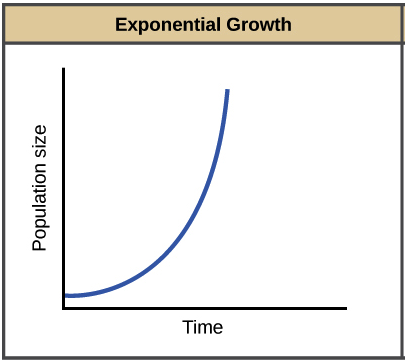 Read more about the article Finite Land vs. Exponentially Growing Population